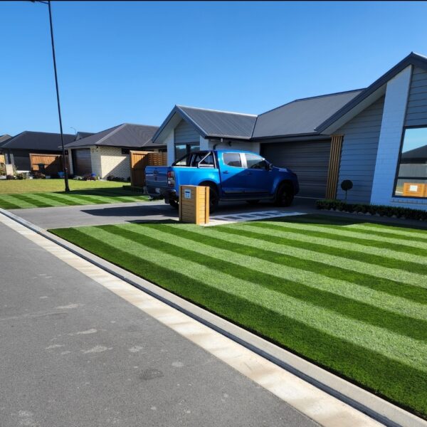 NZLA Fine Fescue Lawn Seed 10kg