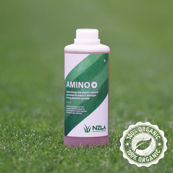 Amino+ (New Product)
