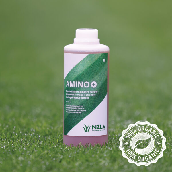 Amino+