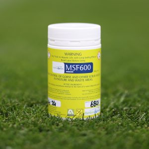 MSF600 200g